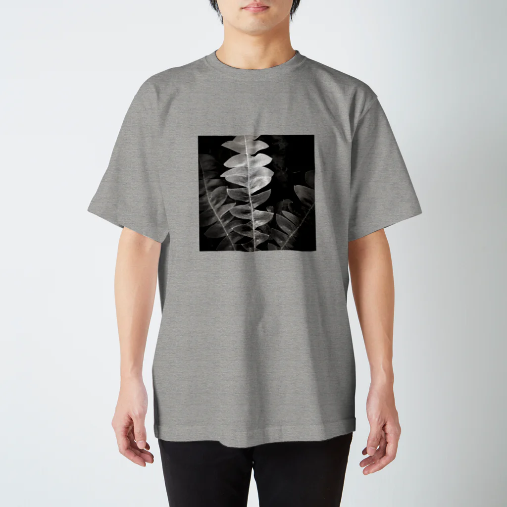 両筑デザインプランツのBanksia   Leaf Regular Fit T-Shirt