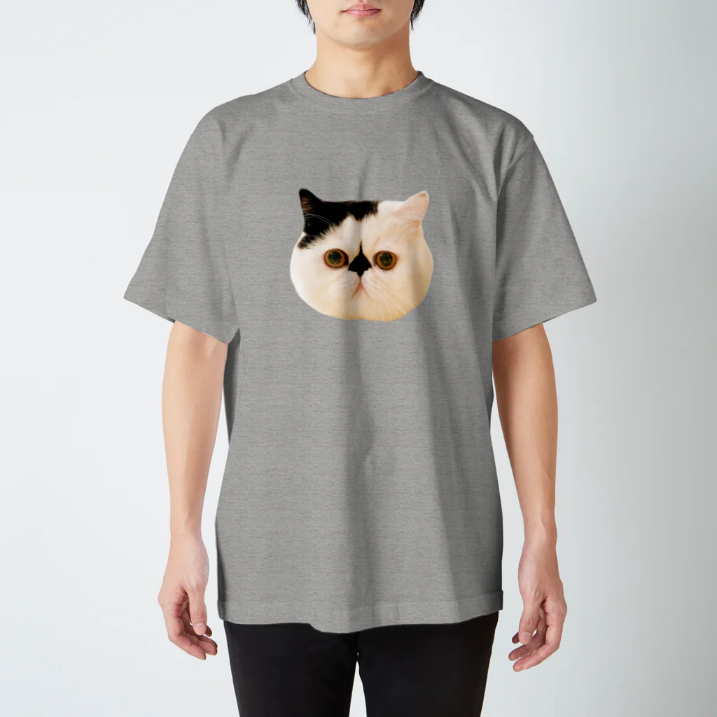 うちの猫はボムといいますのはじめまして、僕はボム、猫です。 スタンダードTシャツ