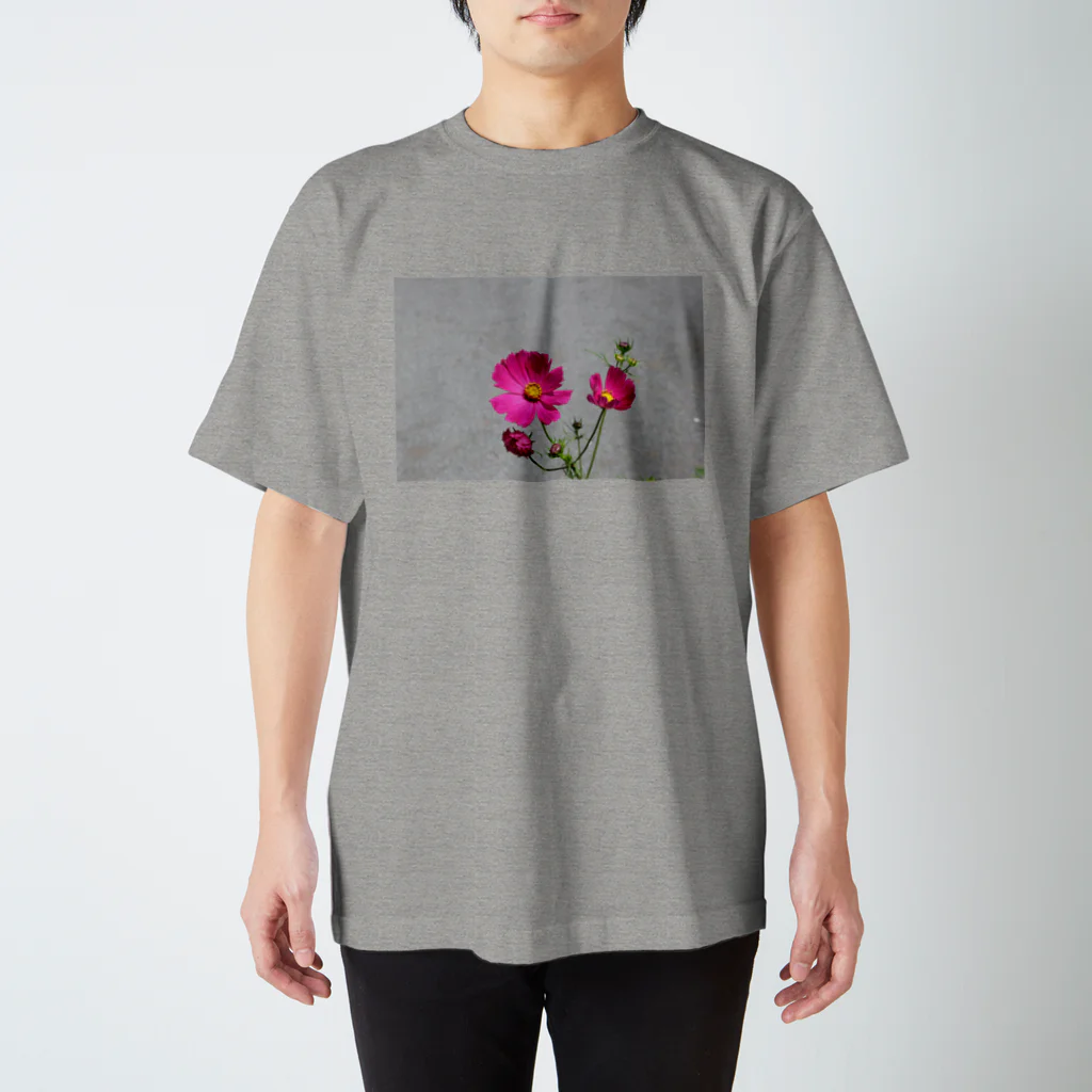 花畑写真館🌷の#4 コスモス姉妹 Regular Fit T-Shirt