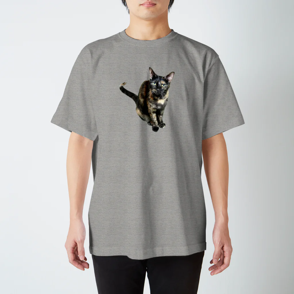 amachiのさびがちゃ１ Regular Fit T-Shirt