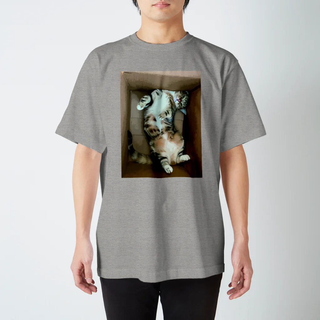 necocacaの猫０６ スタンダードTシャツ