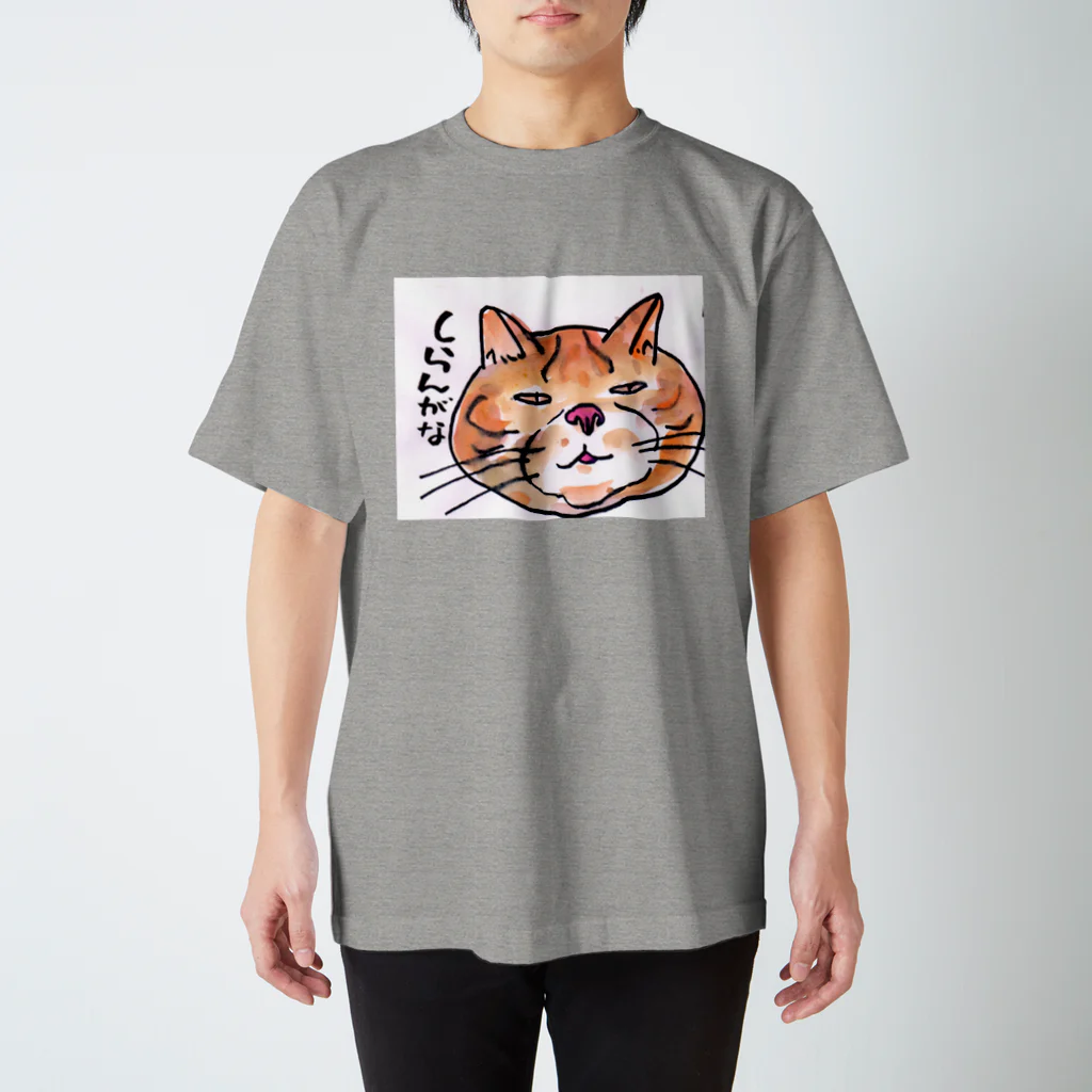 おおかみのしっぽのしらんがな　　ぶさネコのつぶやき スタンダードTシャツ