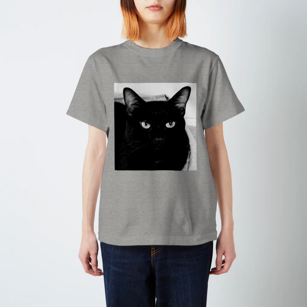 マフィア猫アイテムのマフィア猫アイテム　重要参考人2クロ Regular Fit T-Shirt