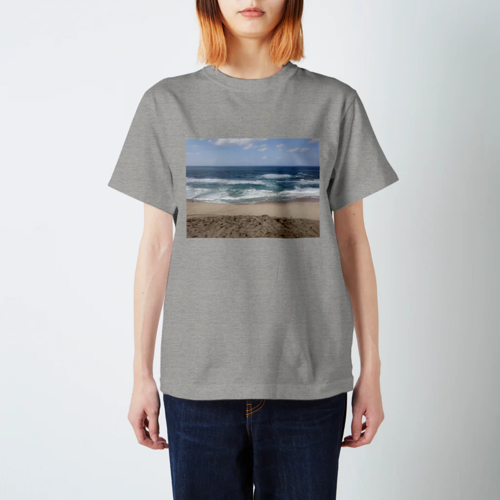 misaoの鳥取砂丘 スタンダードTシャツ