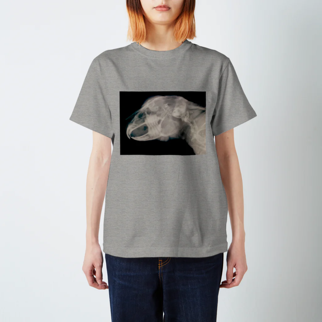 ウサ吉の野望のX線別注 ウサ吉 ver2 Regular Fit T-Shirt