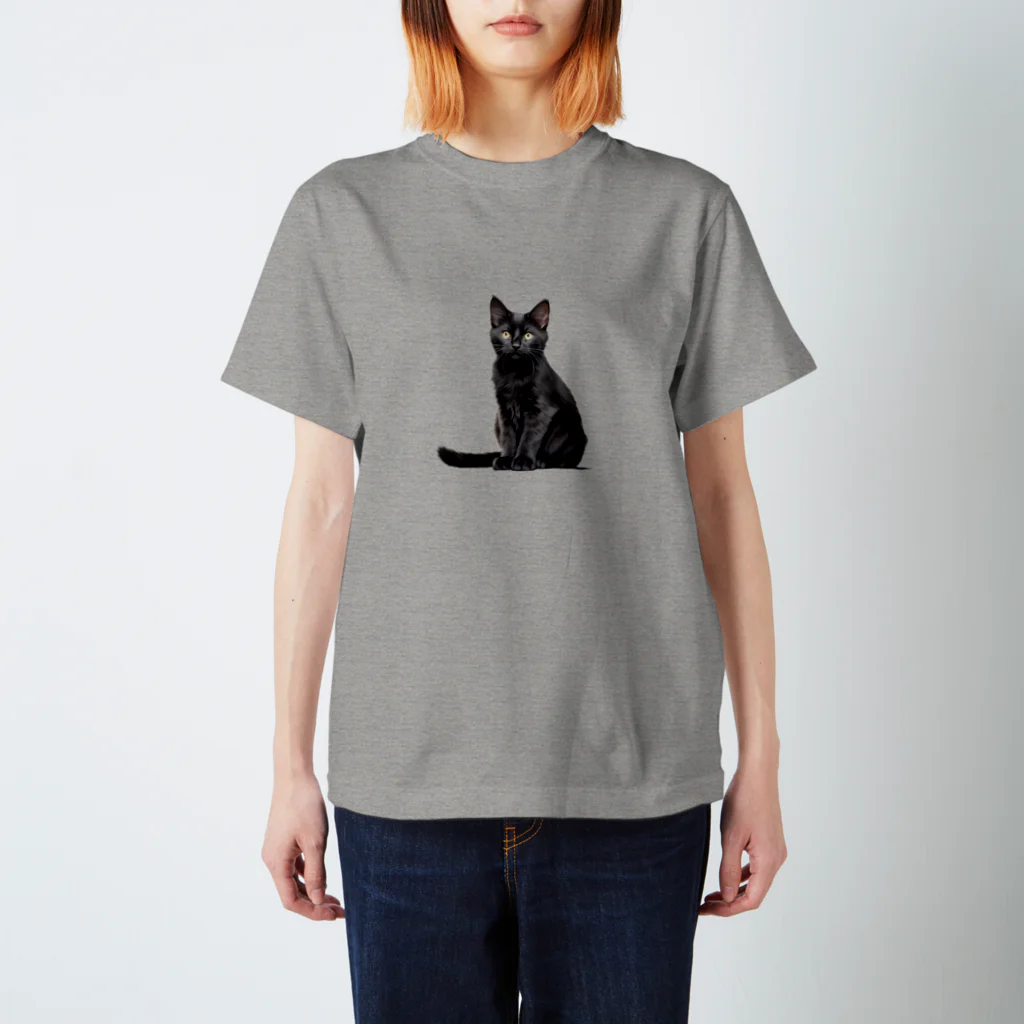 日向ぼっこの黒猫ちも（シンプル） スタンダードTシャツ