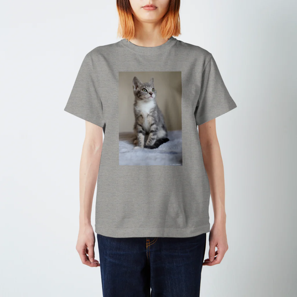 Aiko Nakanoのcat_20190306_0982 スタンダードTシャツ