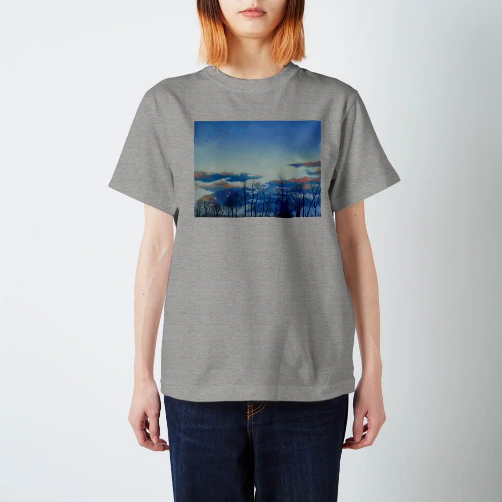 kiitigosauraの旻(びん) Regular Fit T-Shirt