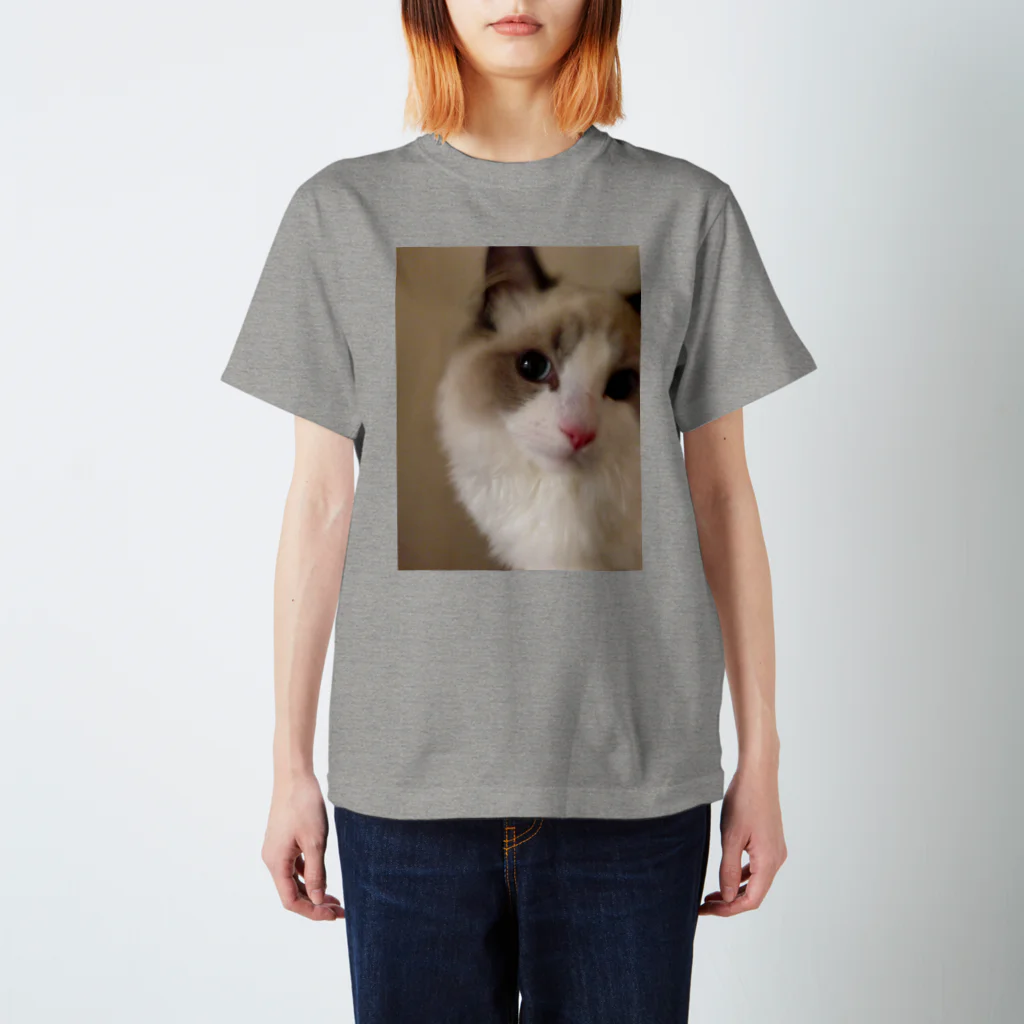 makinboのねこ。つみれフォトジェニック Regular Fit T-Shirt