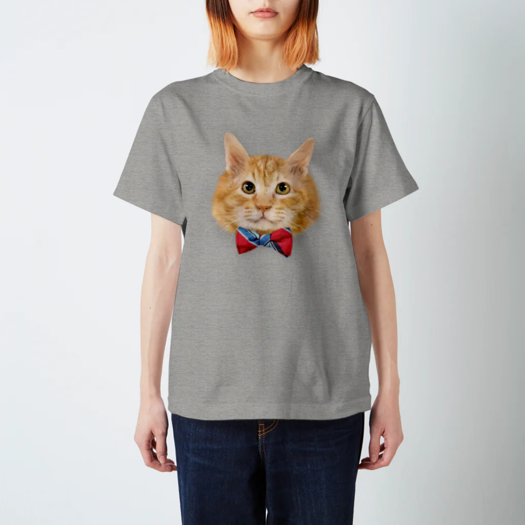 クリオネ制作室の茶色いフワフワ猫 Regular Fit T-Shirt