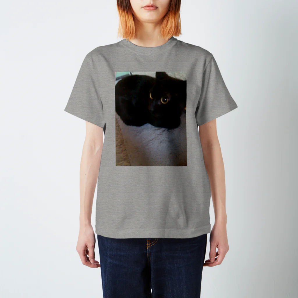 AtelierLovenestの新参猫 スタンダードTシャツ