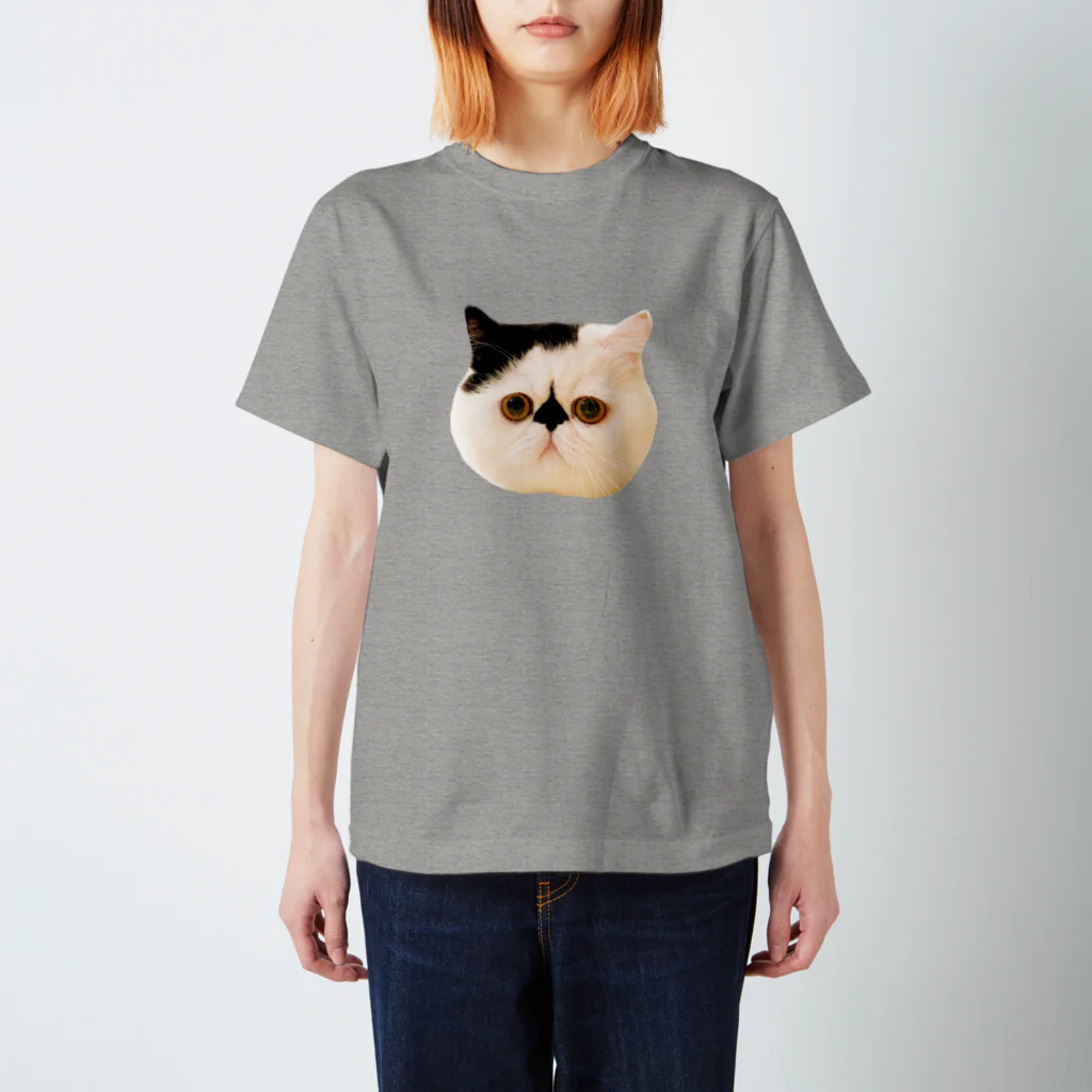 うちの猫はボムといいますのはじめまして、僕はボム、猫です。 スタンダードTシャツ