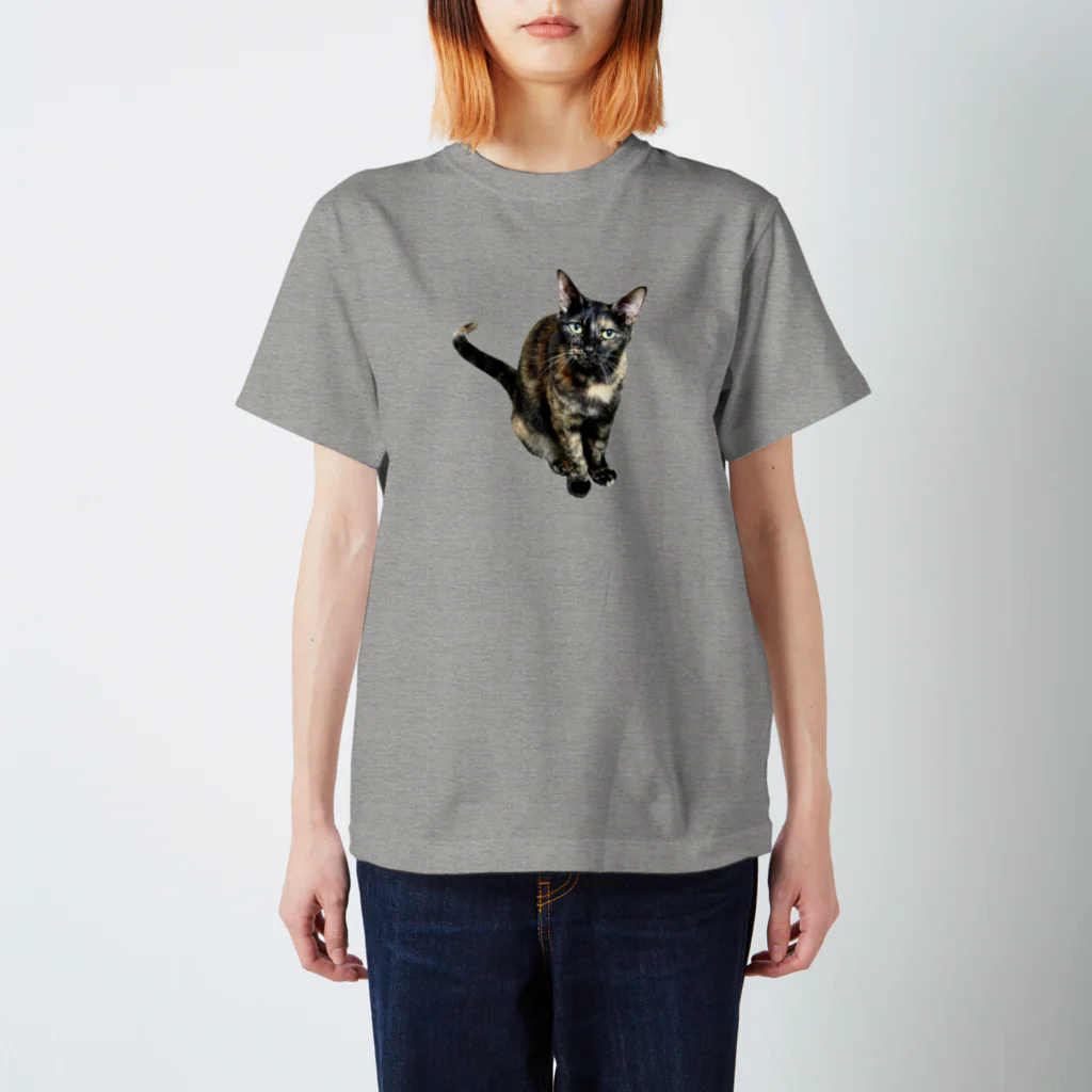 amachiのさびがちゃ１ Regular Fit T-Shirt