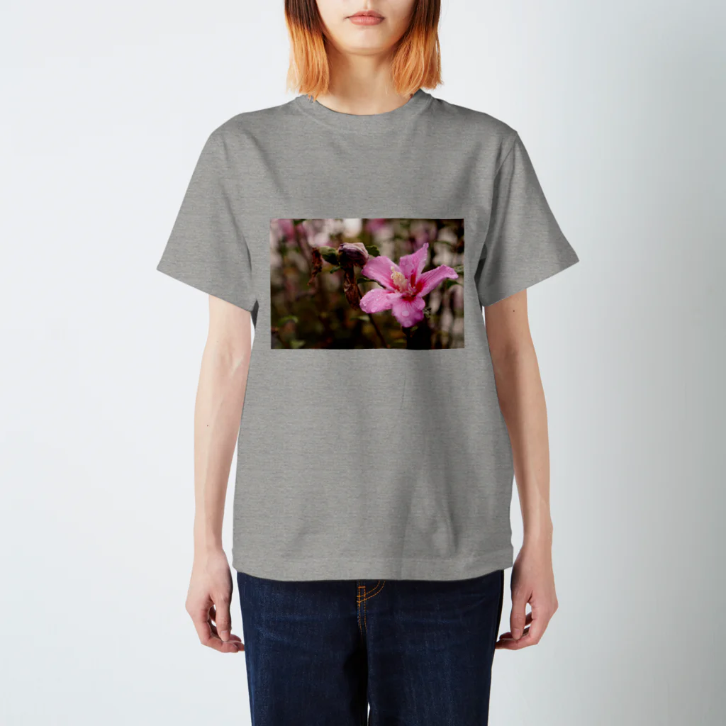 photoちゃんの花 スタンダードTシャツ