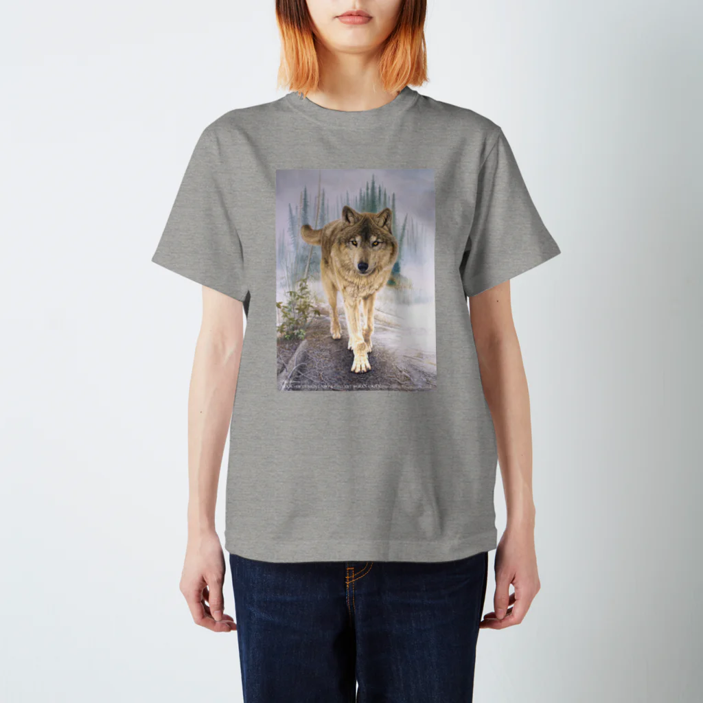 アラスカ野生動物画家きむらけいのF​o​r​e​s​t​ ​o​f​ ​K​a​s​i​l​o​f  スタンダードTシャツ