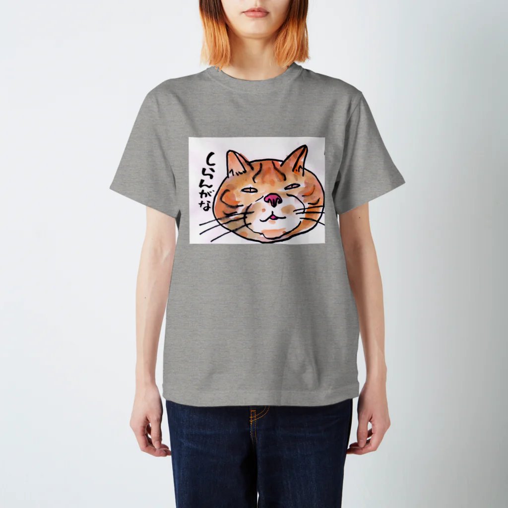 おおかみのしっぽのしらんがな　　ぶさネコのつぶやき スタンダードTシャツ