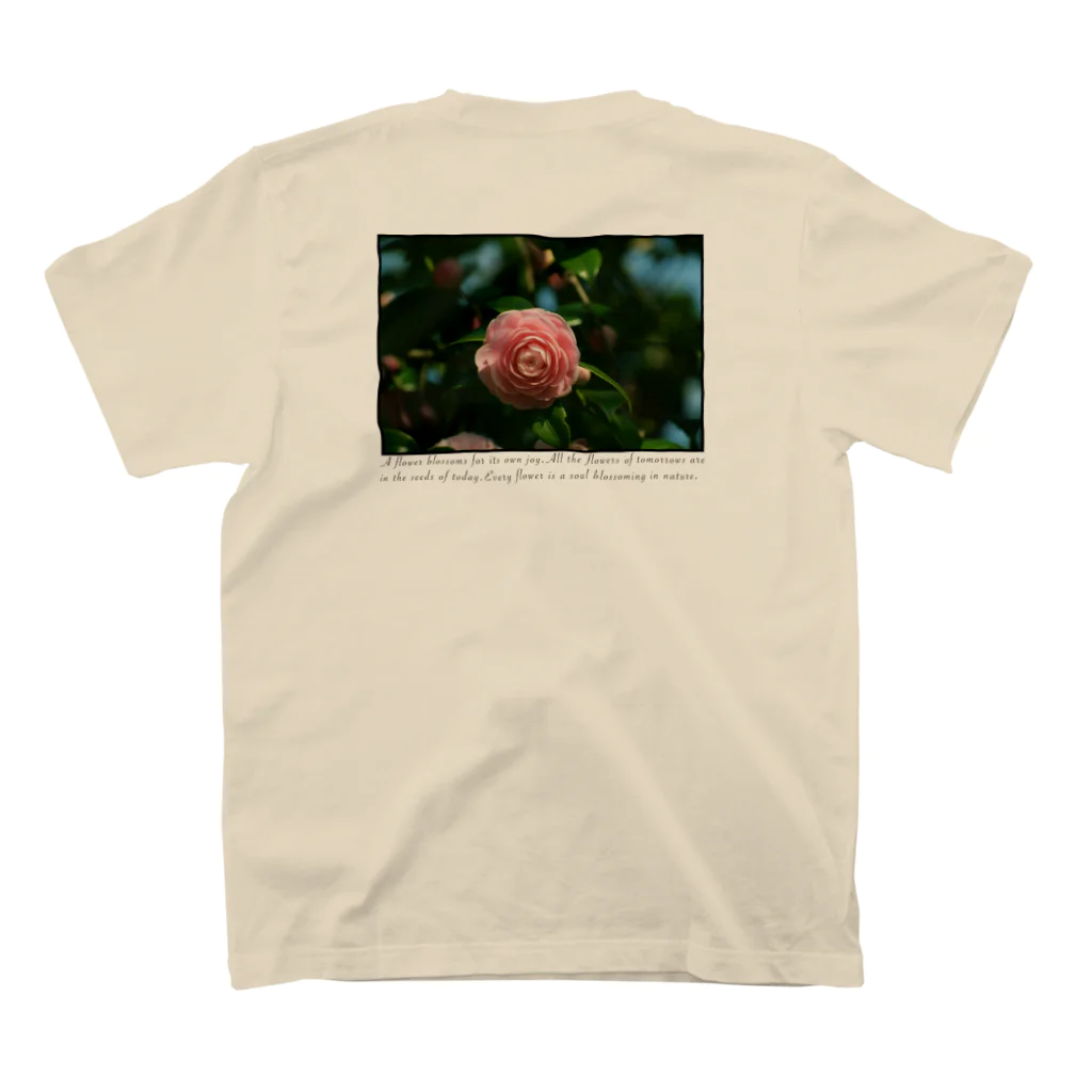 古い醤油は火を通せのいつかどこかのあの花 スタンダードTシャツの裏面