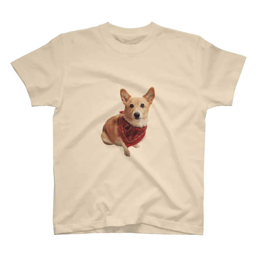 はるとのお犬 Regular Fit T-Shirt