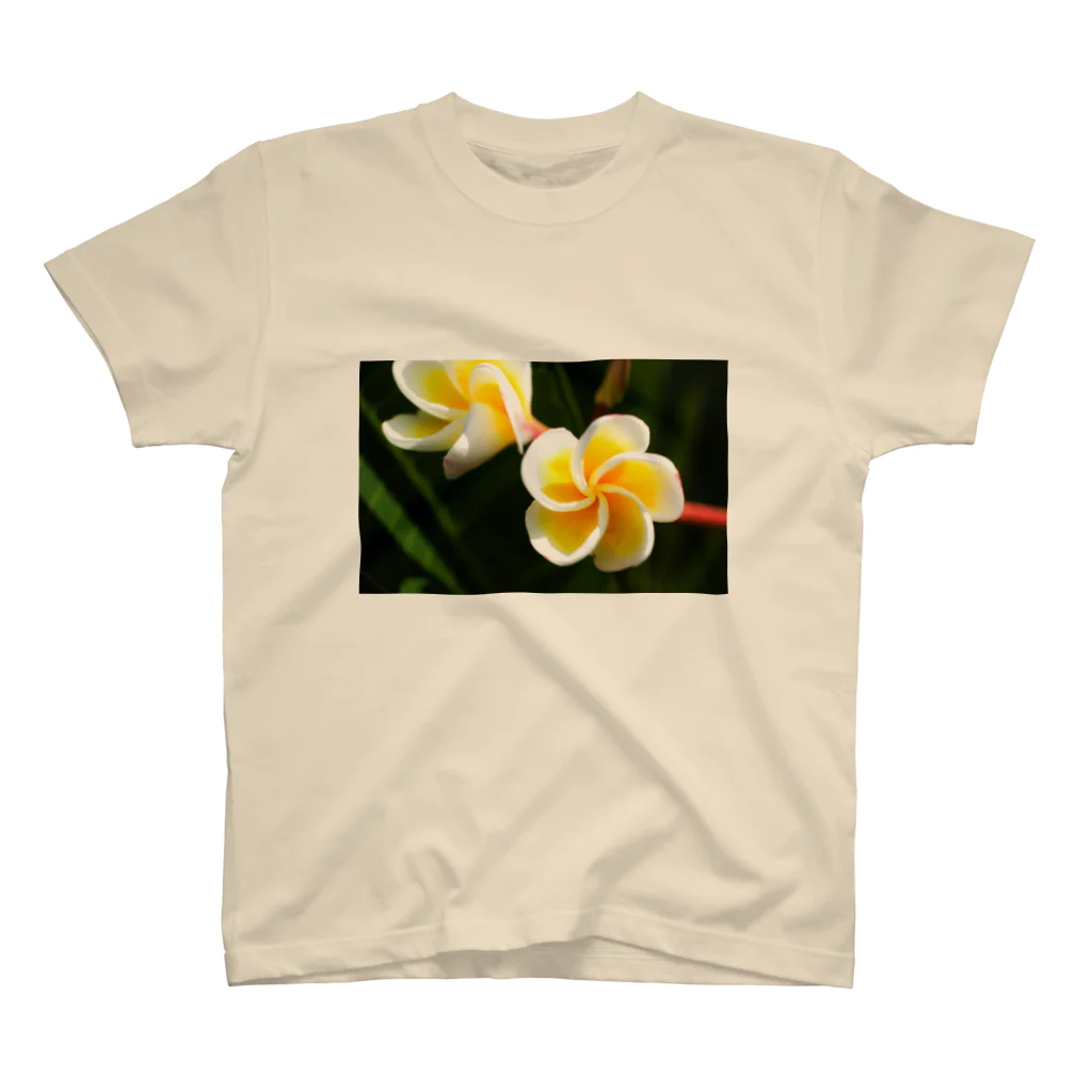 kamakiri3のFlower of the Heart　プルメリア スタンダードTシャツ