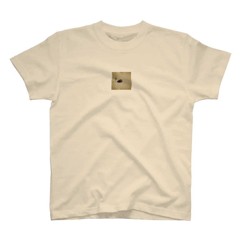 ほとみちゃんのくさったミカン Regular Fit T-Shirt