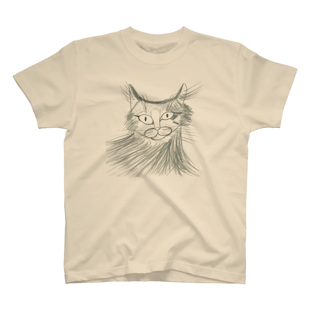 hiking_dressの驚いた猫 スタンダードTシャツ