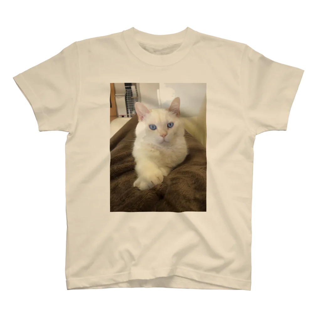 そらにも出来る保護猫支援のキリリそらくん Regular Fit T-Shirt