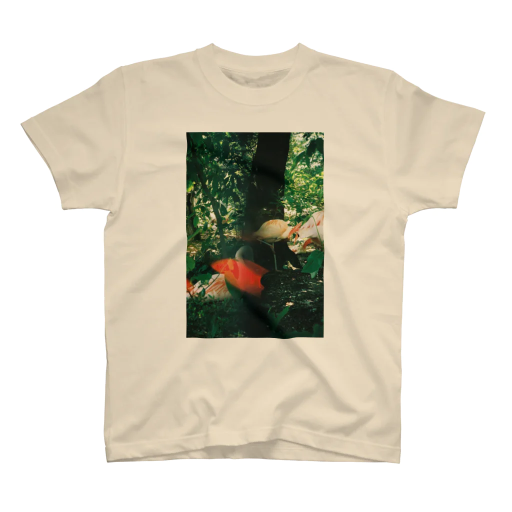 JUDY NOTIMEのJUNGLE ZOO スタンダードTシャツ