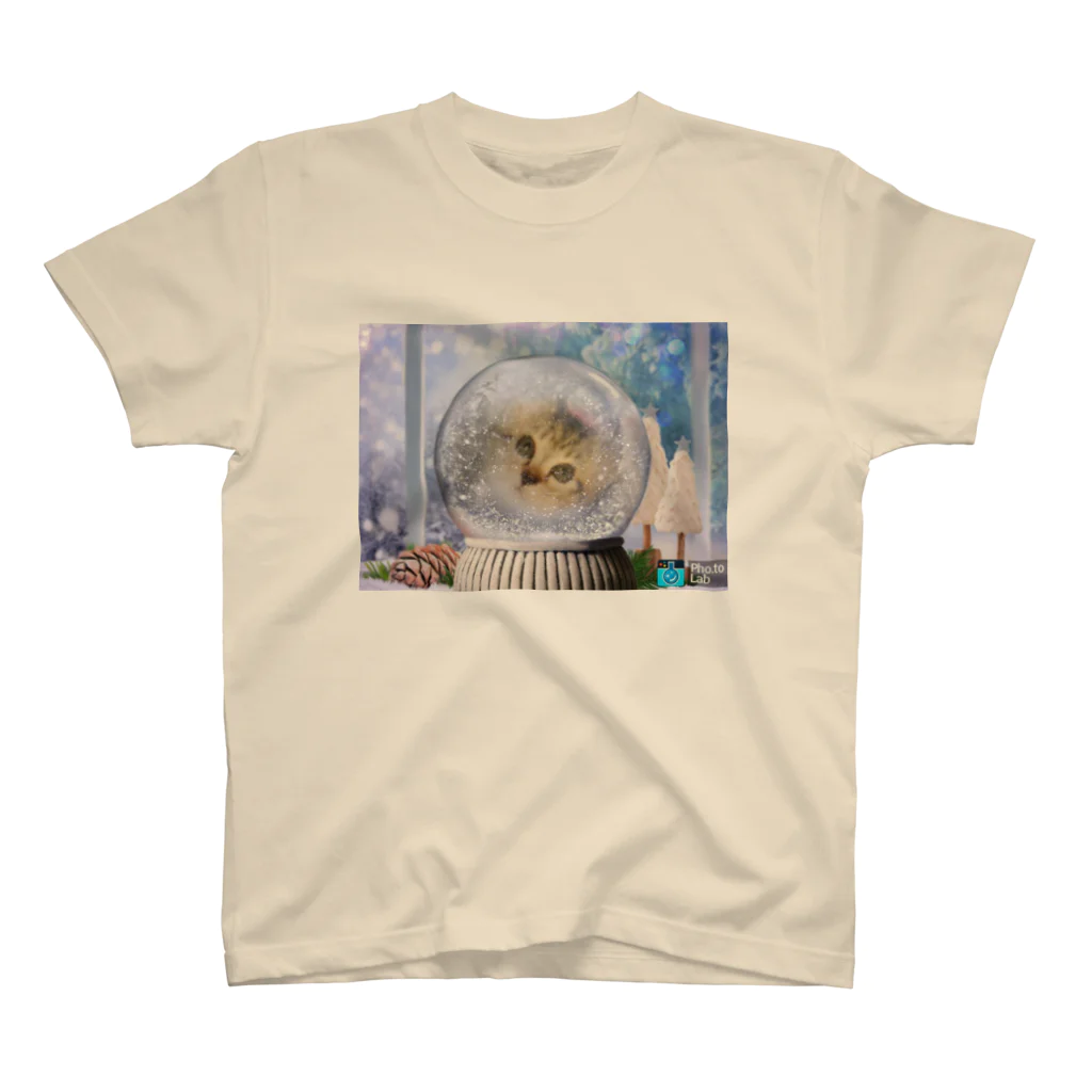 minminのドーム猫 スタンダードTシャツ