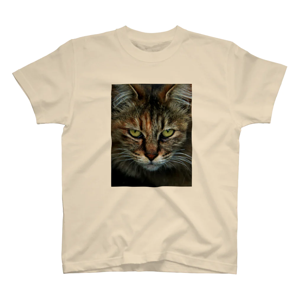 308GTBooのCAT スタンダードTシャツ