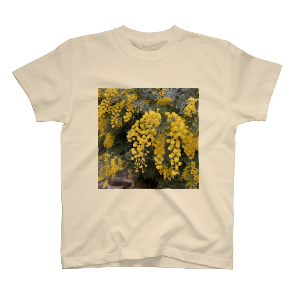 minamu_の花粉飛散 スタンダードTシャツ