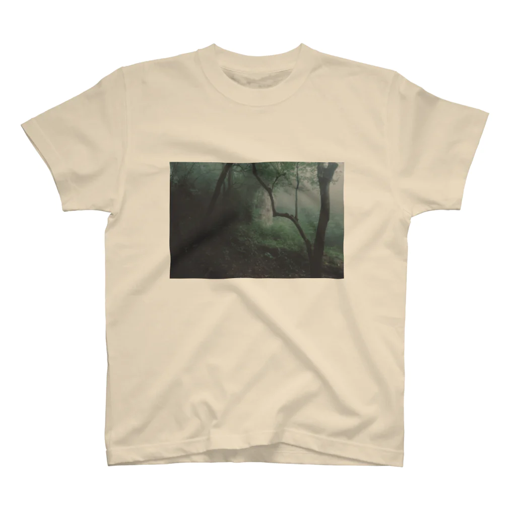 yamamizunoのyakushima Regular Fit T-Shirt