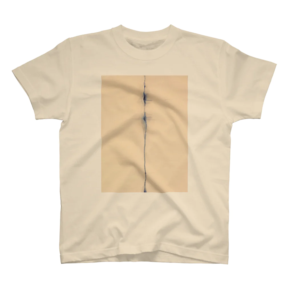 HeNlYの透 Regular Fit T-Shirt