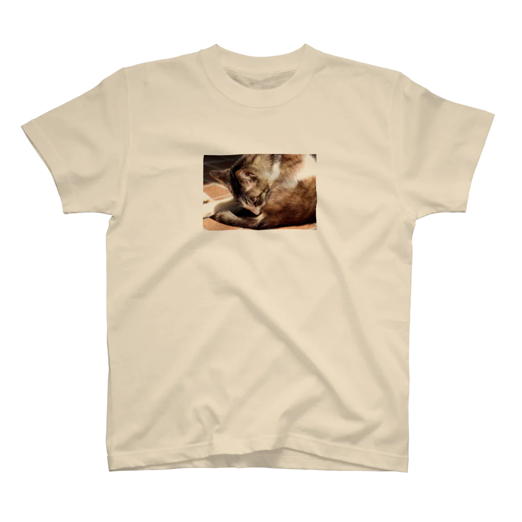 藤井愛稀 / Itsuki Fujiiの陽だまりのねこちゃん スタンダードTシャツ