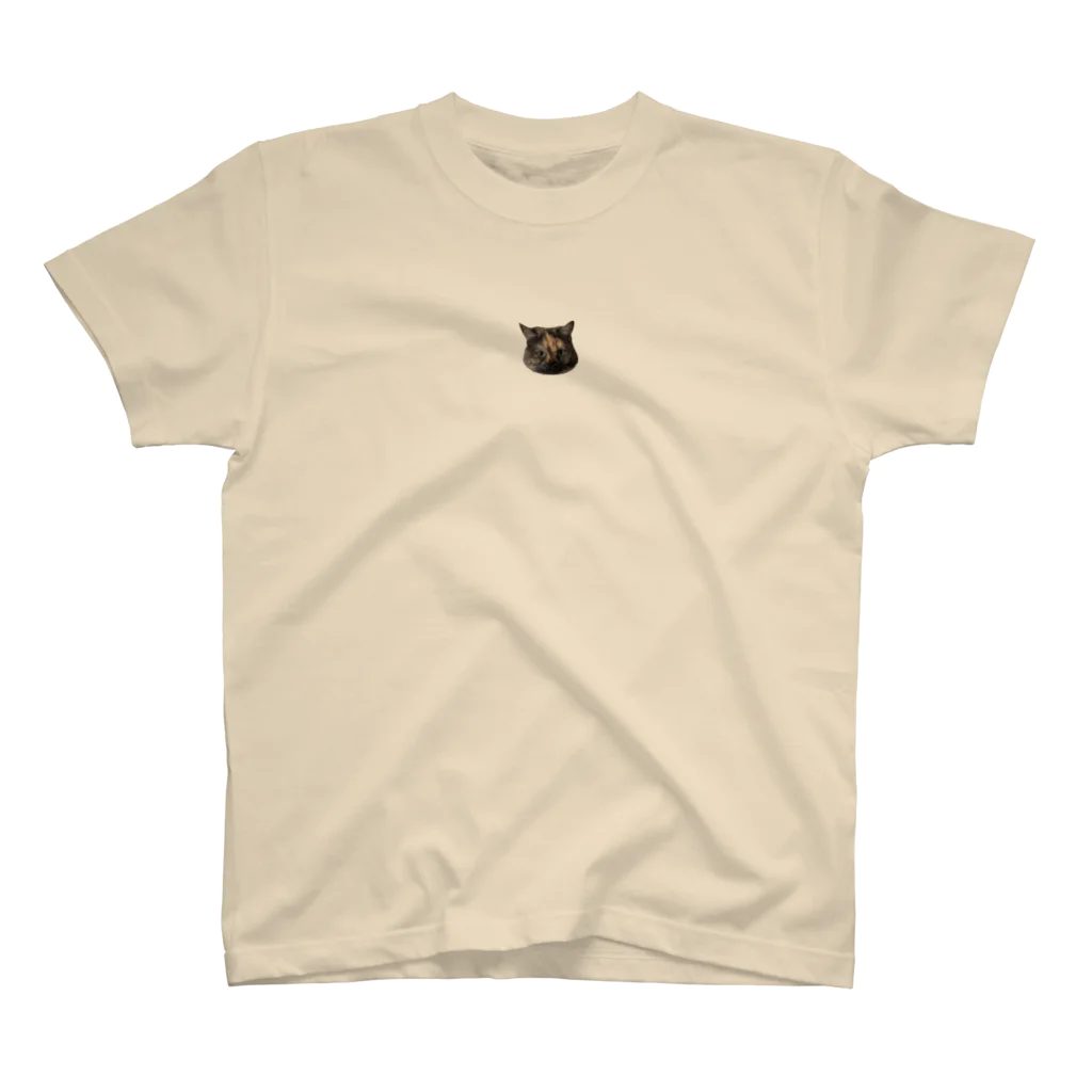 1_panmanaのふくこ Regular Fit T-Shirt