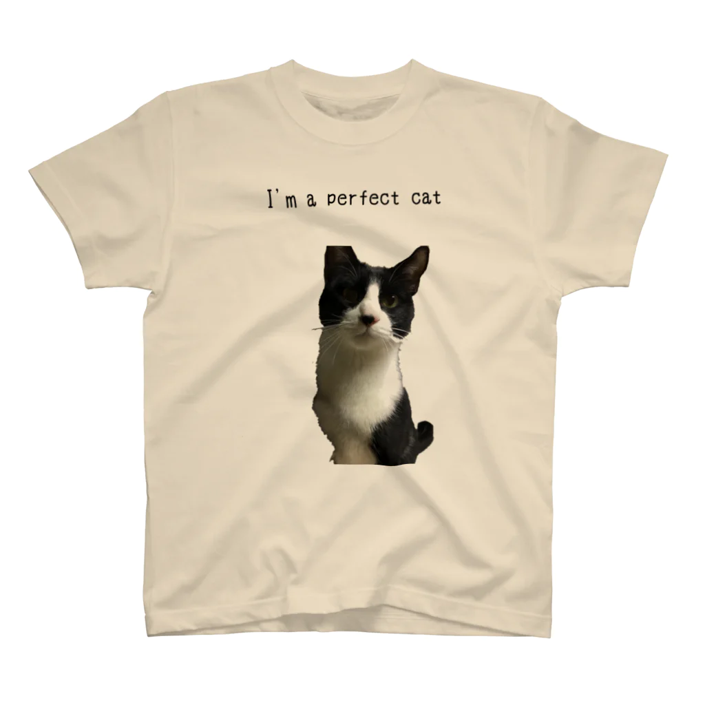 ねこといろいろのあいむ あ ぱーふぇくと にゃんこ スタンダードTシャツ