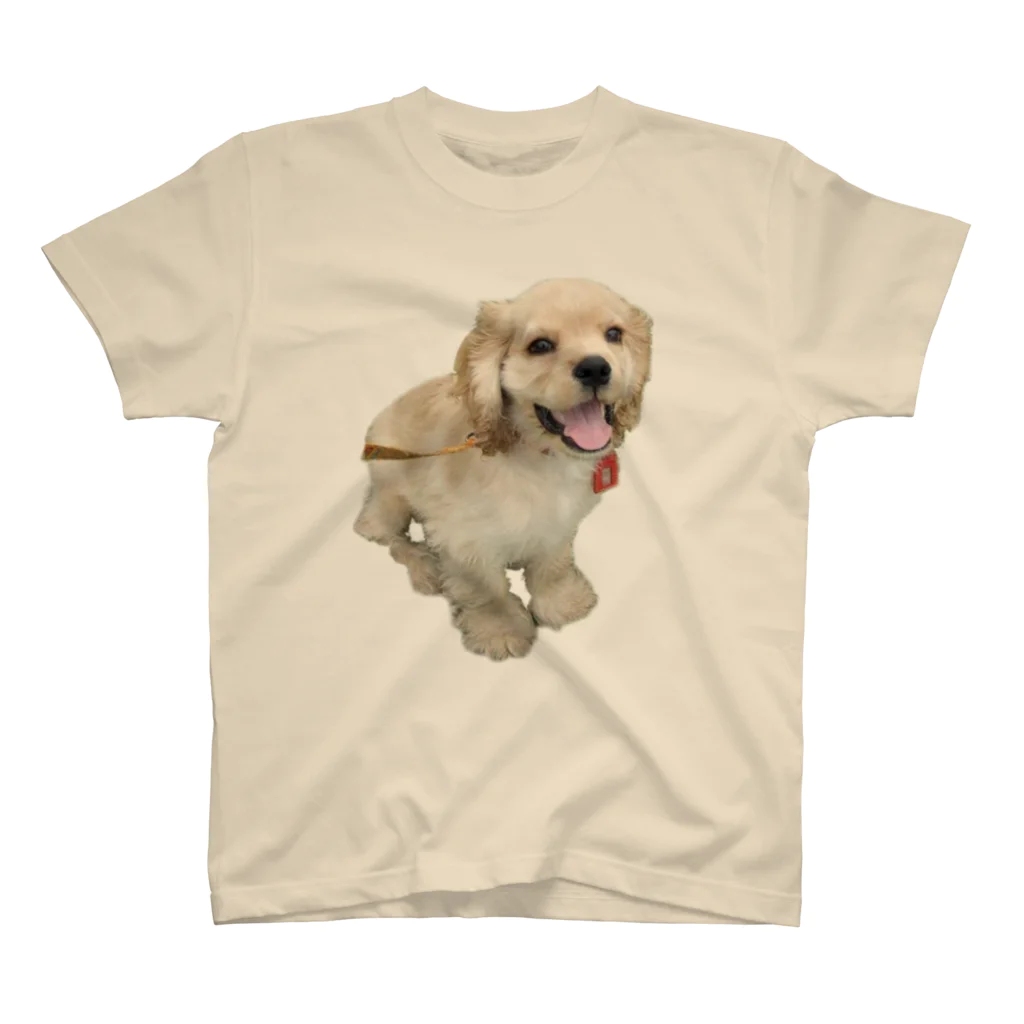 犬の生活が第一の超キュート！アメリカンコッカーのピコたん スタンダードTシャツ