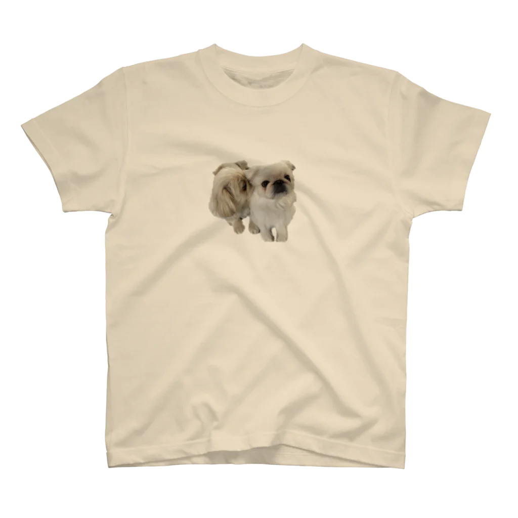 ペキ&シーのペキニーズ犬　すもも&こむぎ Regular Fit T-Shirt