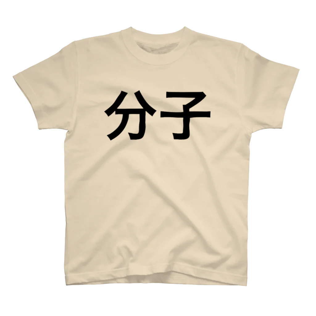 のののの分子 Regular Fit T-Shirt