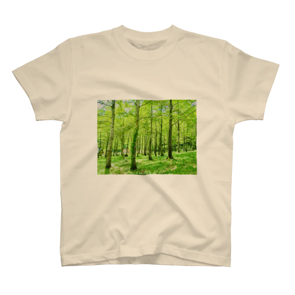 One natureのOne nature スタンダードTシャツ