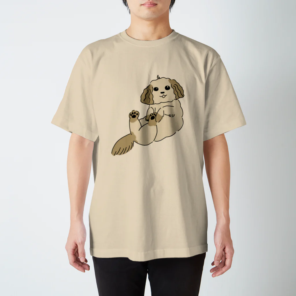 あおぞらの抱っこされ犬 スタンダードTシャツ