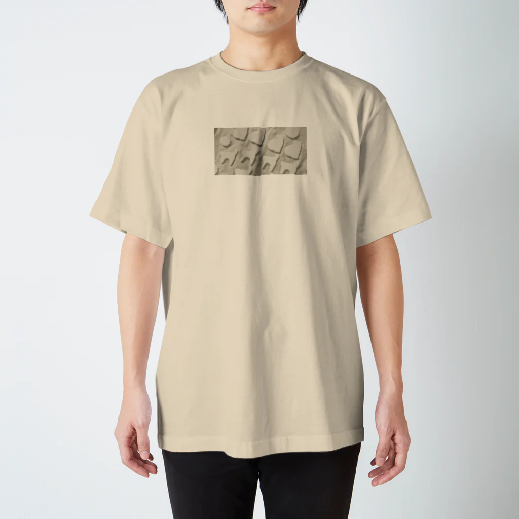 とよおかちひろのねこクッキーうすめ② Regular Fit T-Shirt