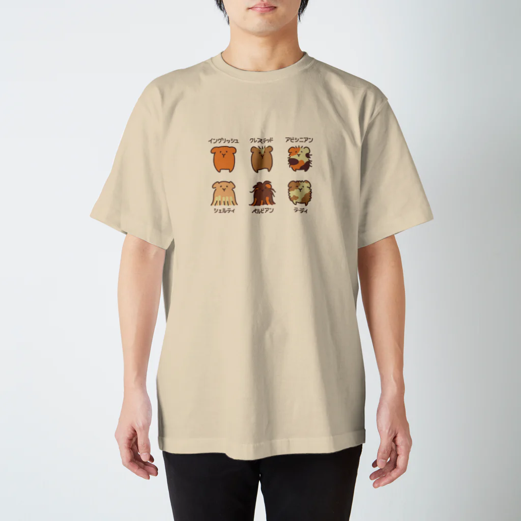 Three.Pieces.Pictures.Itemのモルモット６種盛り合わせ スタンダードTシャツ