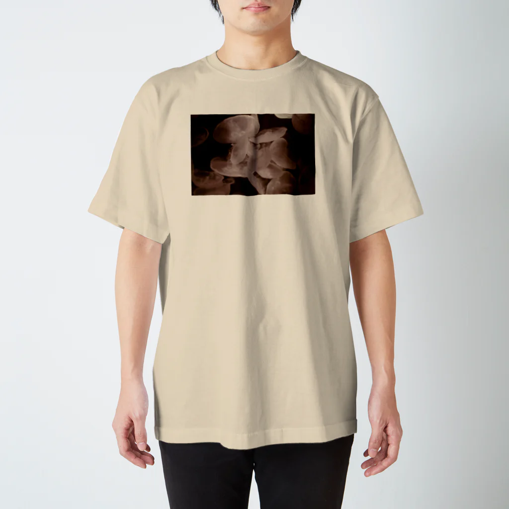 DecoLacertaのsepia jellyfish スタンダードTシャツ