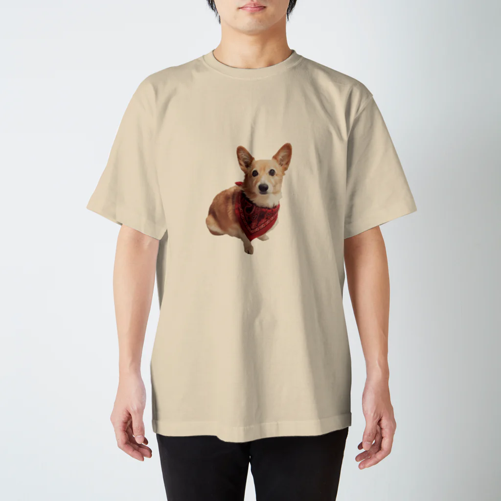 はるとのお犬 Regular Fit T-Shirt