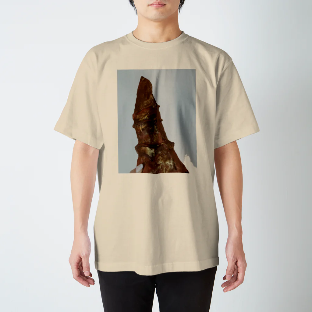 afreedaの美女と野獣のツノ スタンダードTシャツ