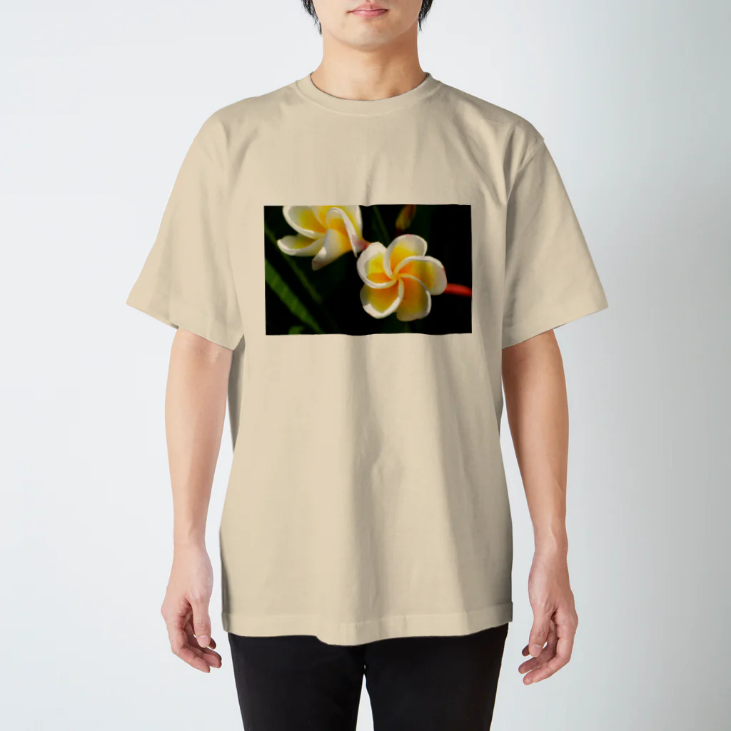 kamakiri3のFlower of the Heart　プルメリア スタンダードTシャツ