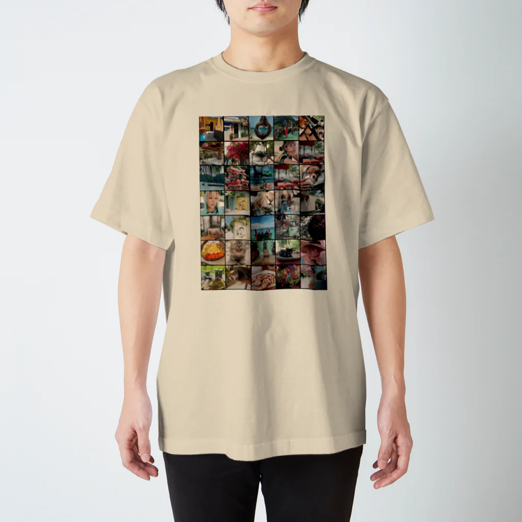 Sexy photo art shopの南国の思い出 スタンダードTシャツ