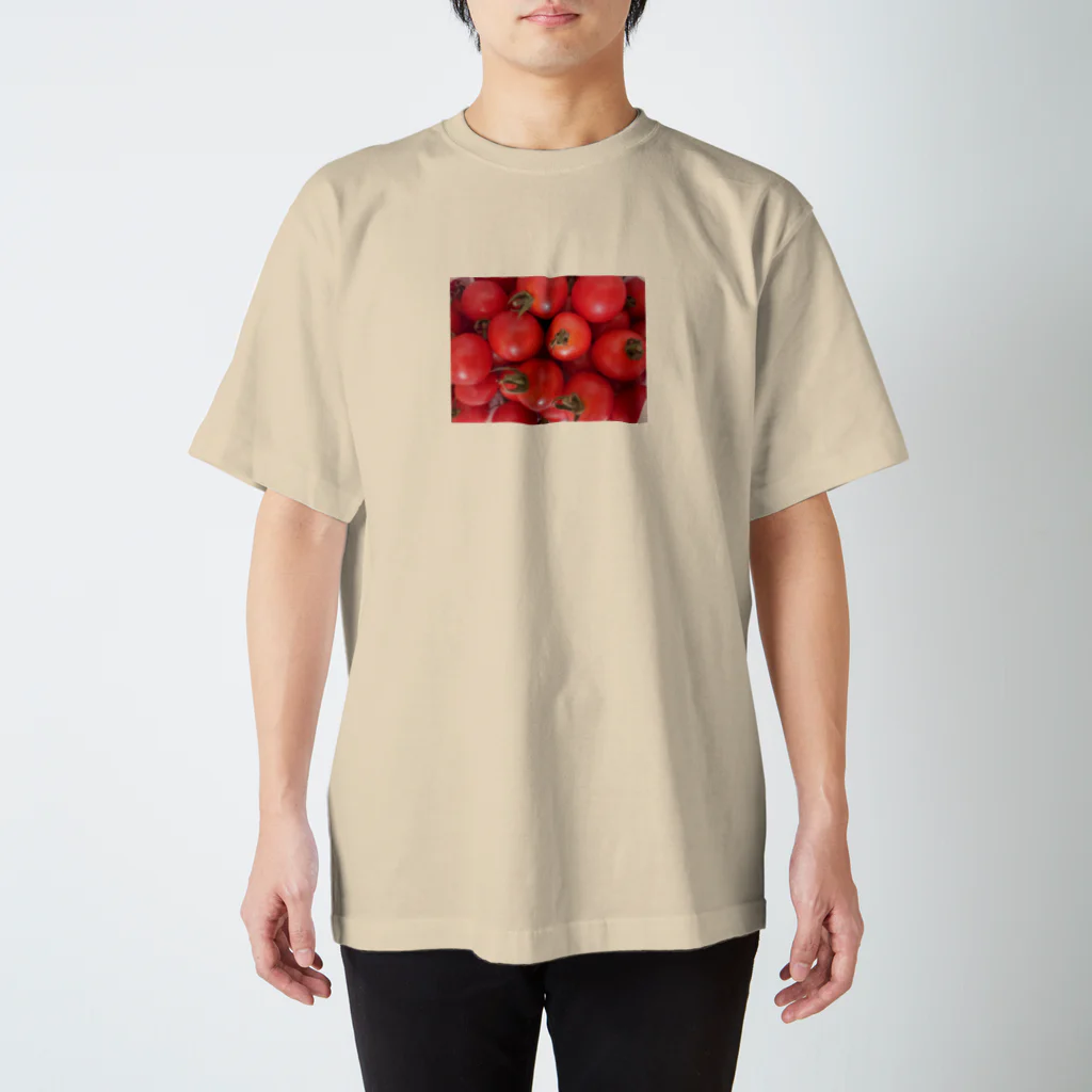 NakaYosiのときめき☆トメィトゥ Regular Fit T-Shirt