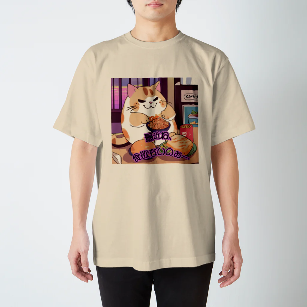 癒しの部屋🐾໒꒱のぽっちゃりニャンコ🐈🐾 スタンダードTシャツ