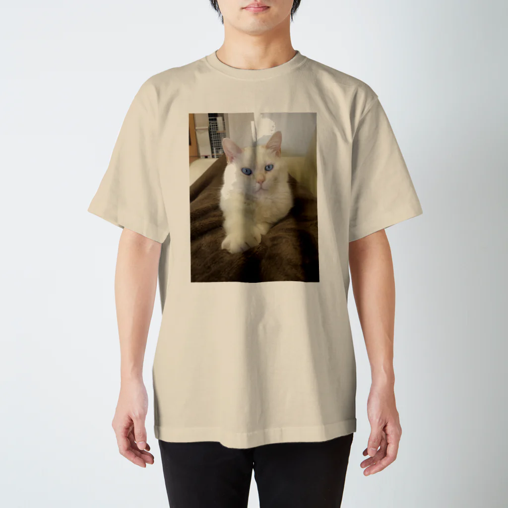 そらにも出来る保護猫支援のキリリそらくん Regular Fit T-Shirt